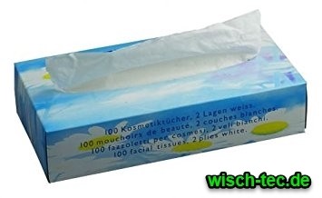 Kosmetiktuch 20 x 21 cm weiß 2 lagig 100er Pack